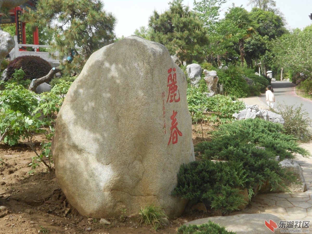 DSCN1579.JPG
