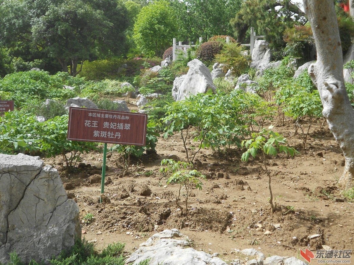 DSCN1580.JPG