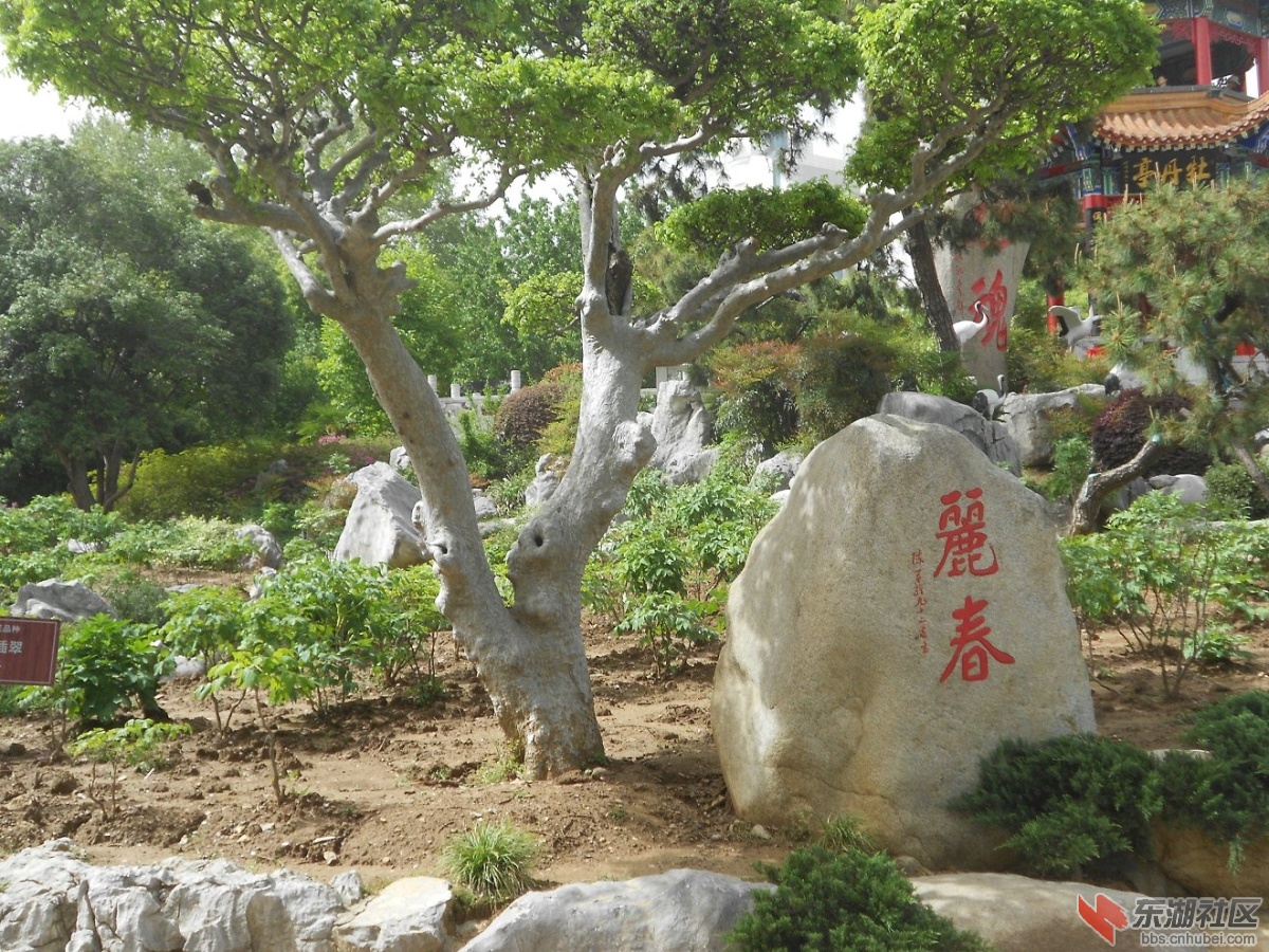 DSCN1581.JPG