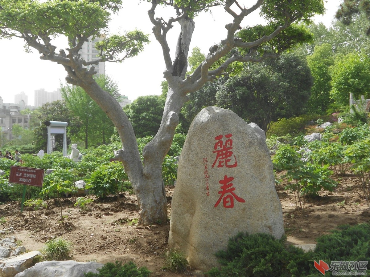 DSCN1583.JPG