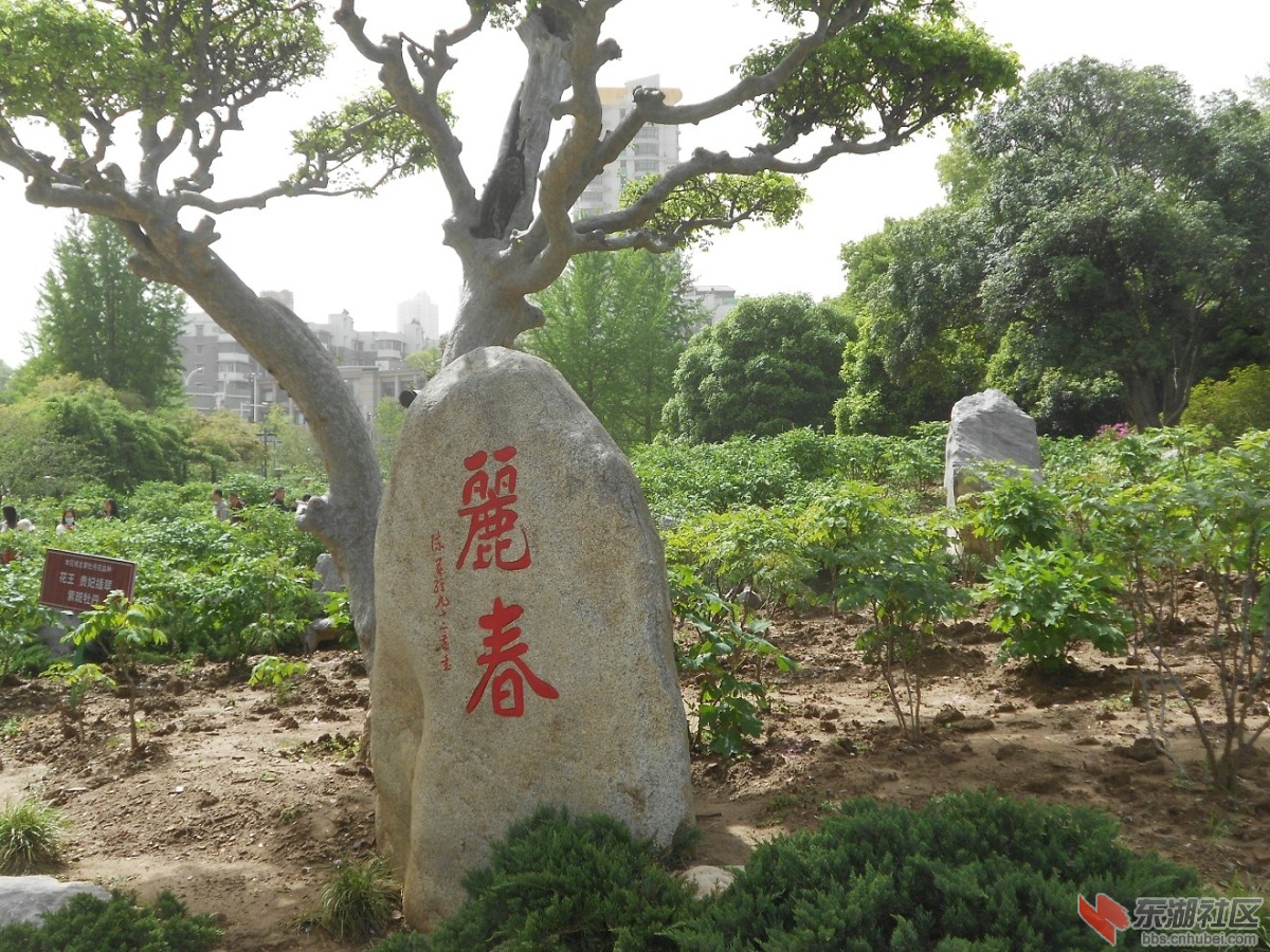 DSCN1585.JPG