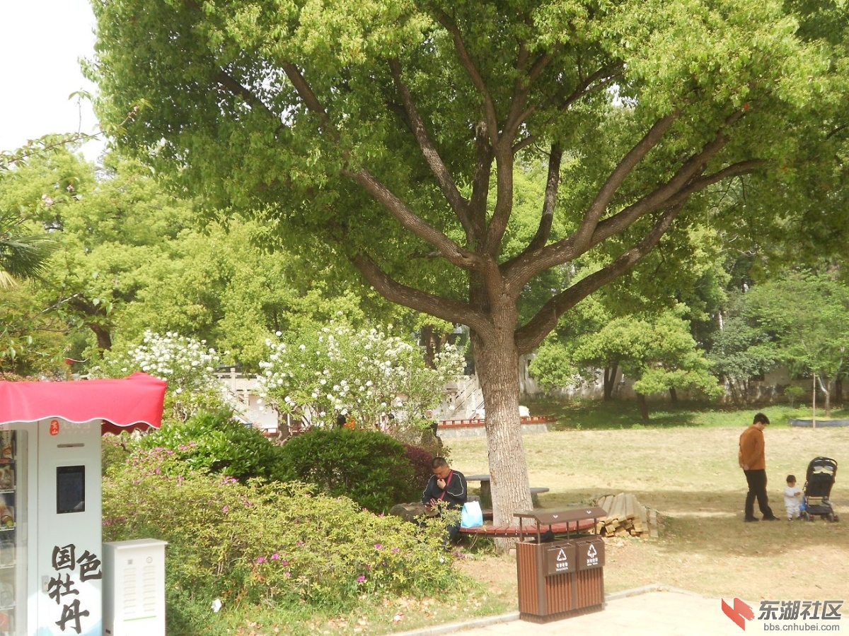 DSCN1592.JPG
