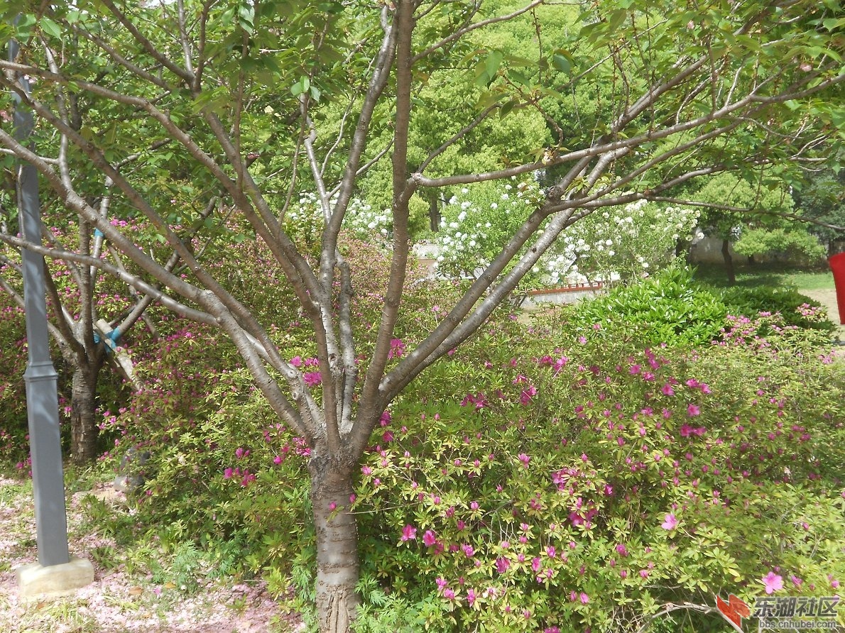 DSCN1598.JPG