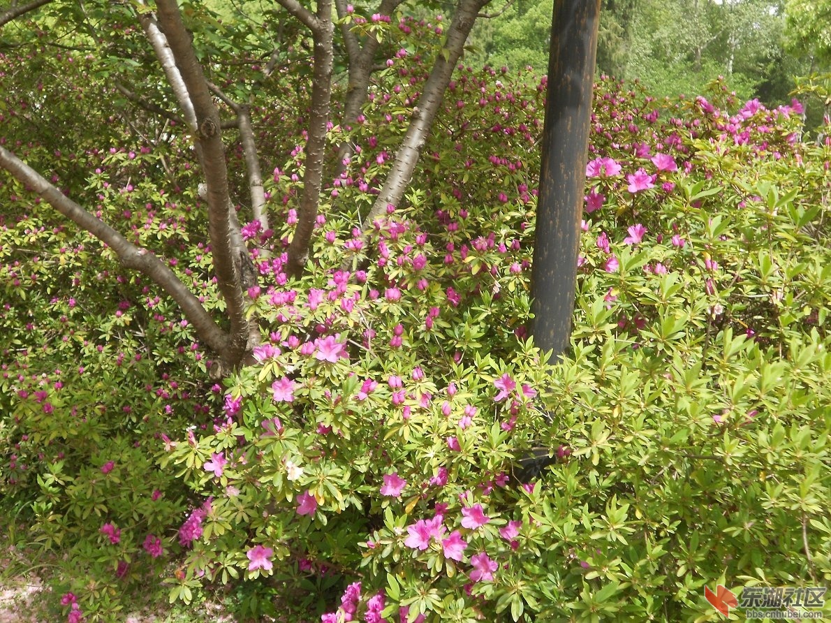 DSCN1600.JPG