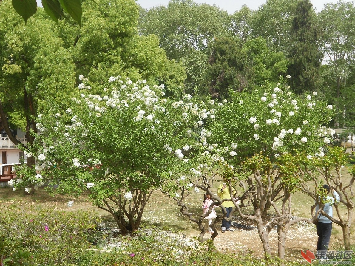 DSCN1604.JPG