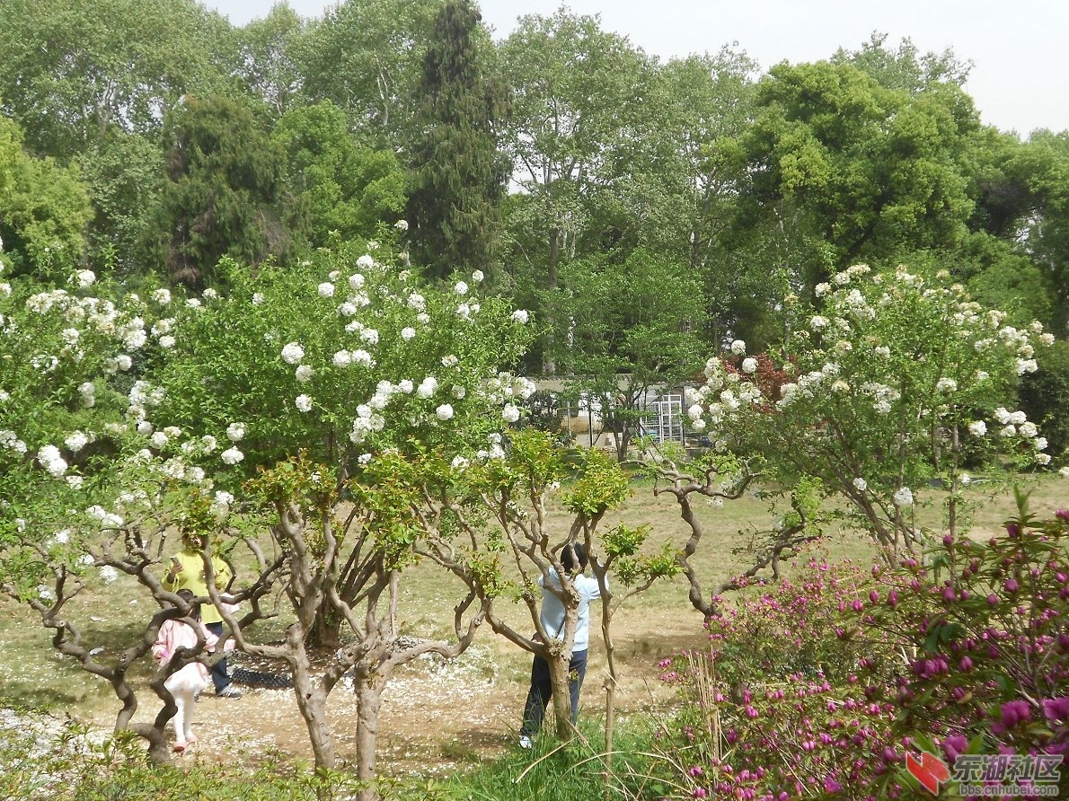 DSCN1605.JPG
