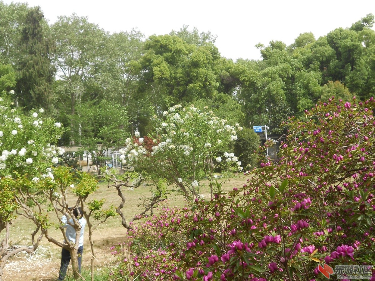 DSCN1606.JPG
