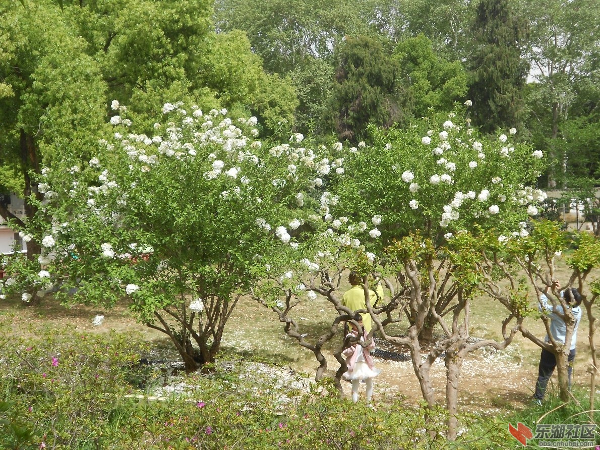 DSCN1607.JPG
