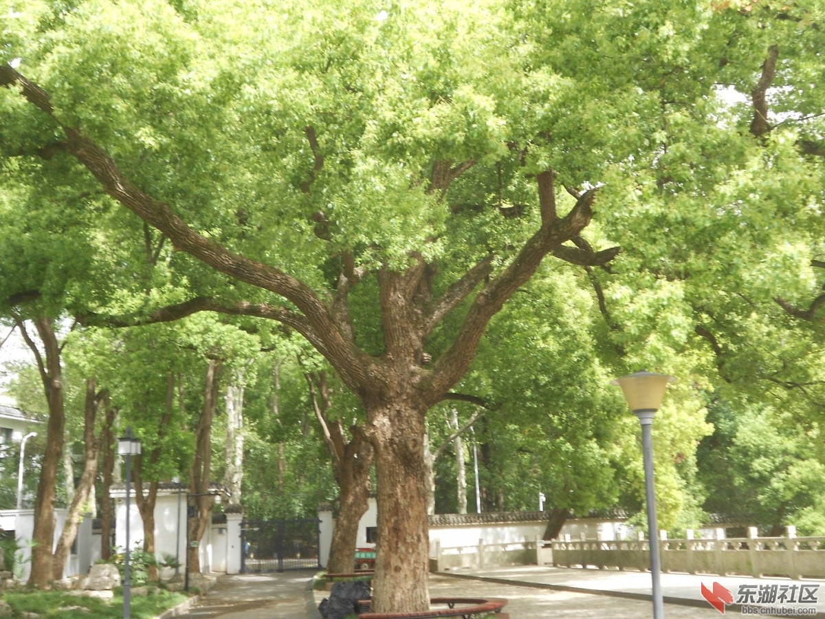 DSCN1612.JPG