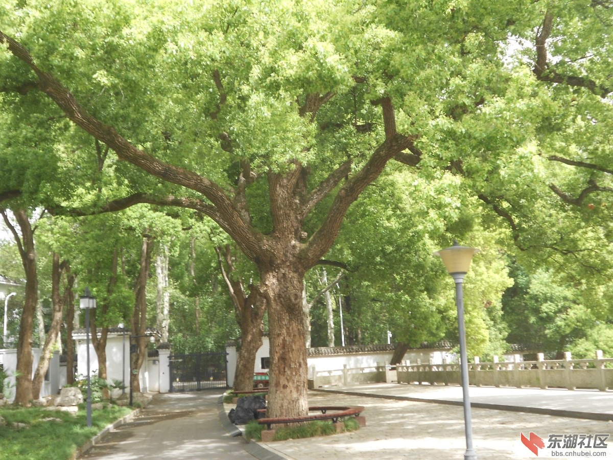 DSCN1613.JPG