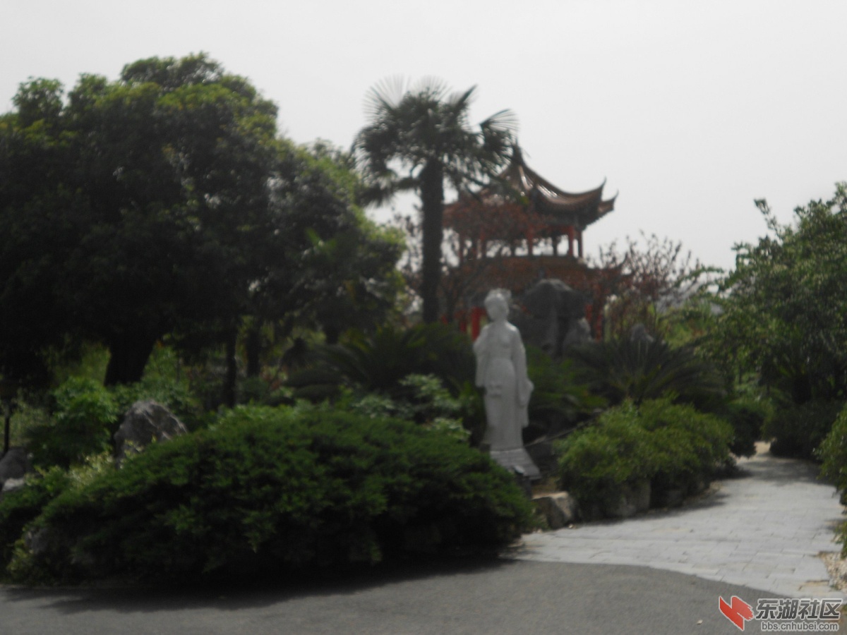 DSCN1615.JPG