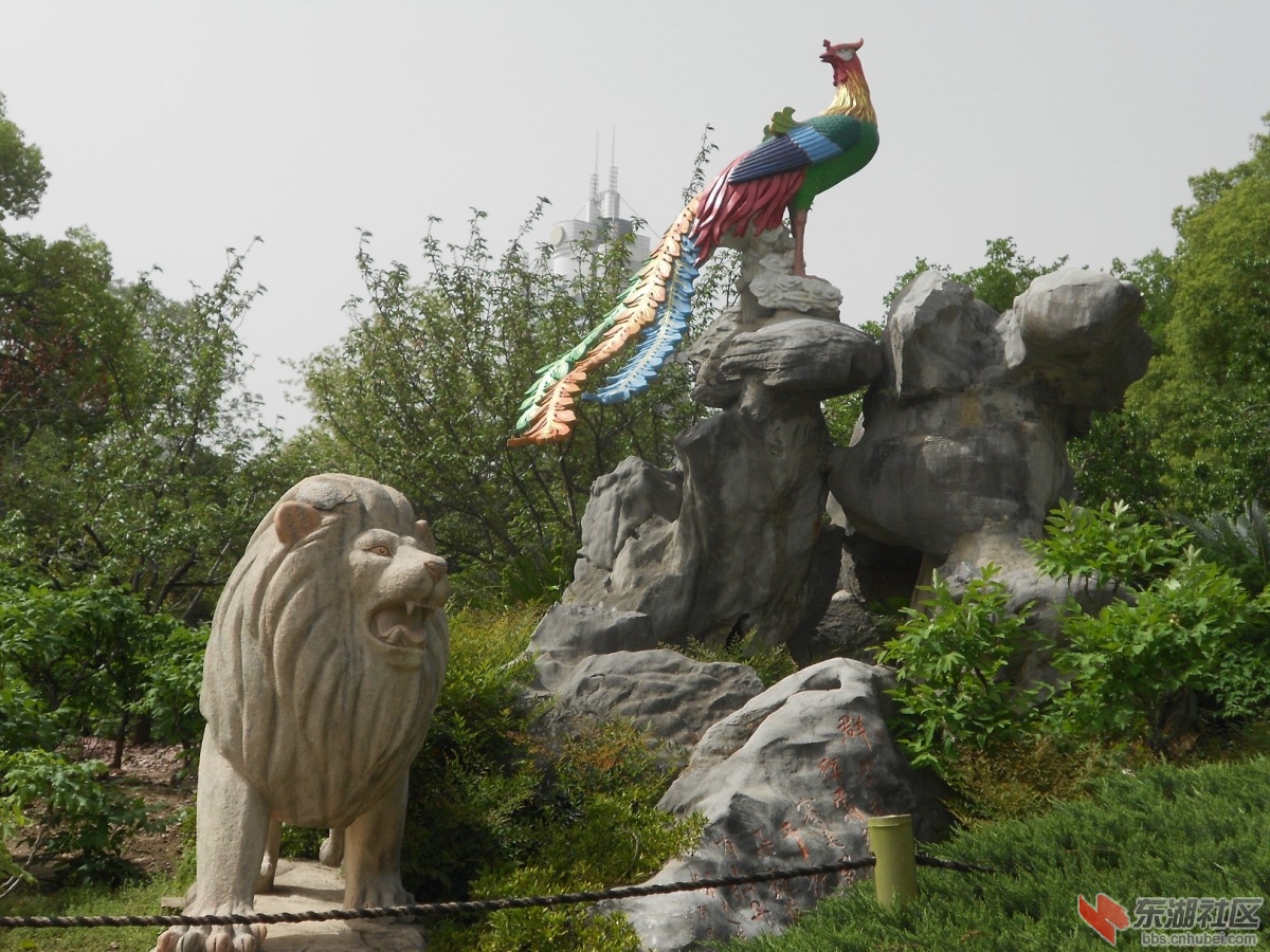 DSCN1618.JPG