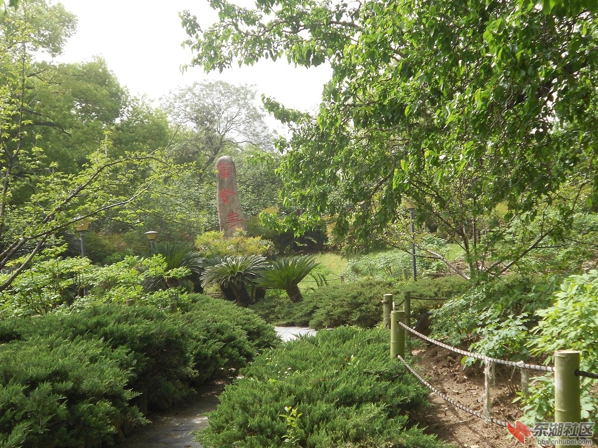 DSCN1623.JPG