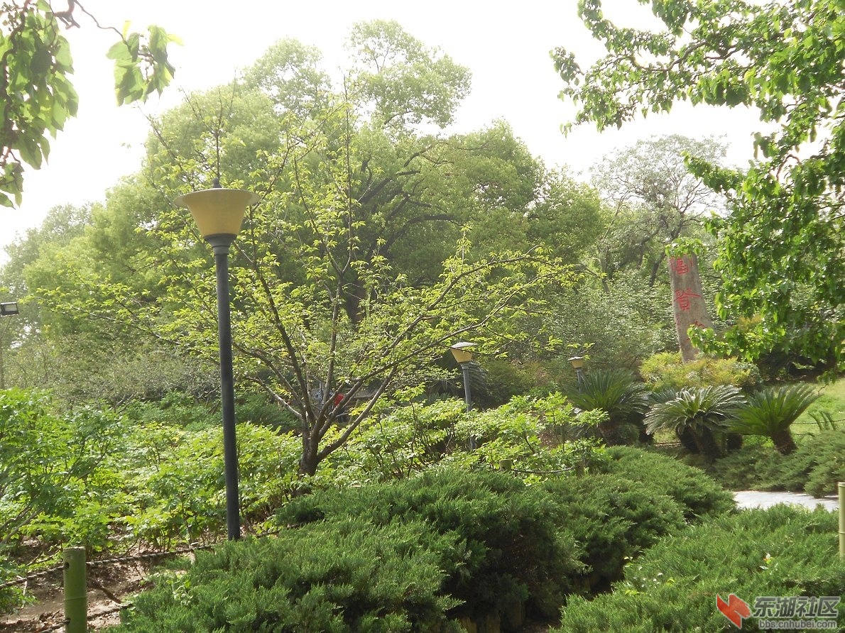DSCN1624.JPG