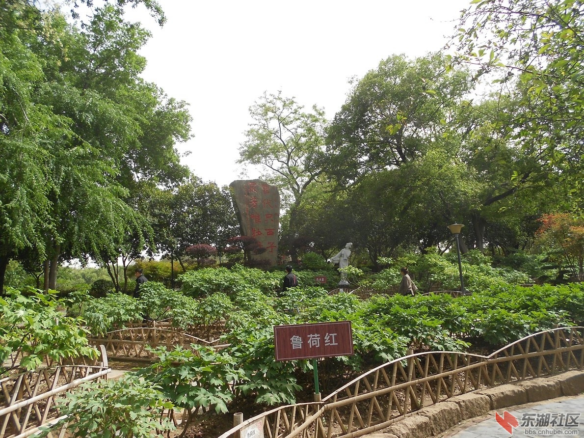 DSCN1625.JPG