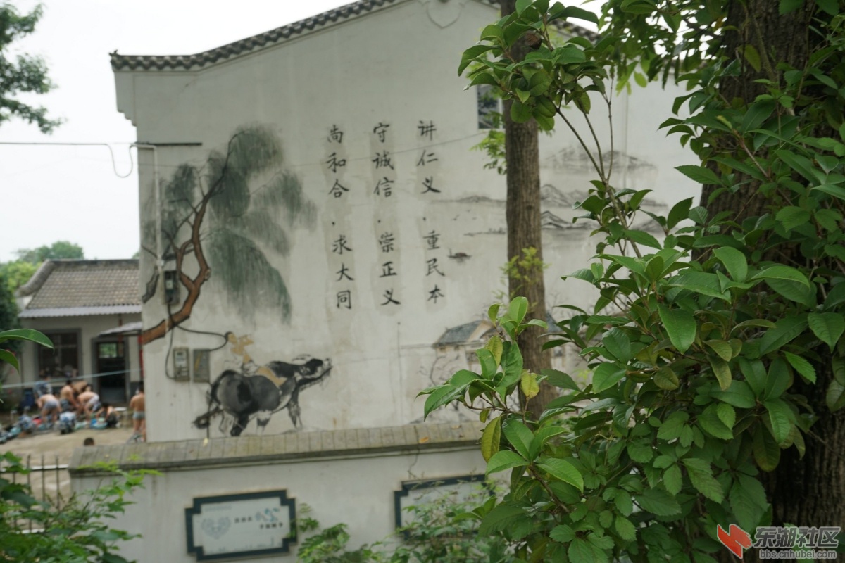 DSC00412.JPG