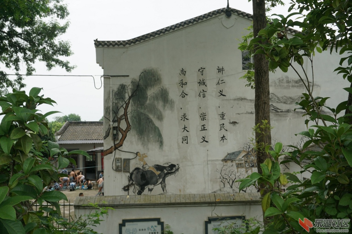 DSC00415.JPG