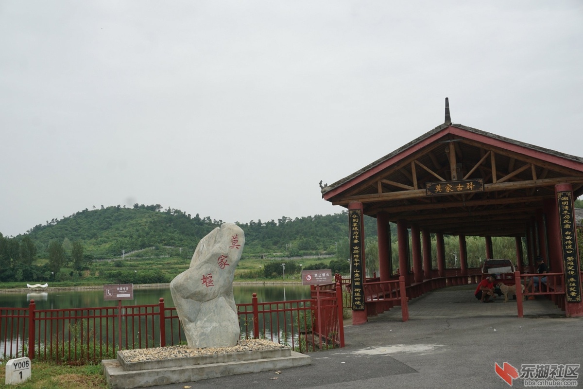 DSC00418.JPG