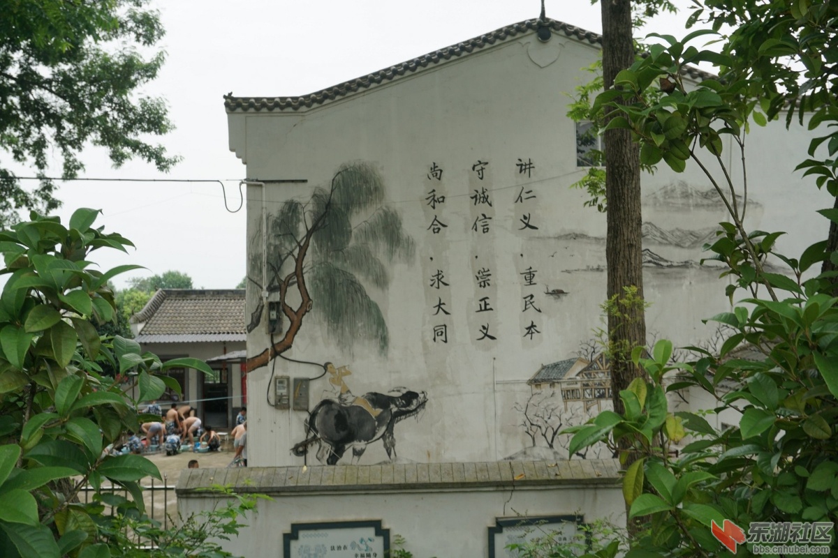 DSC00417.JPG