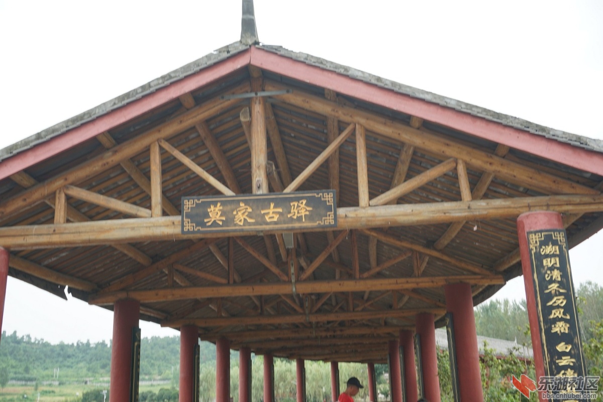 DSC00426.JPG