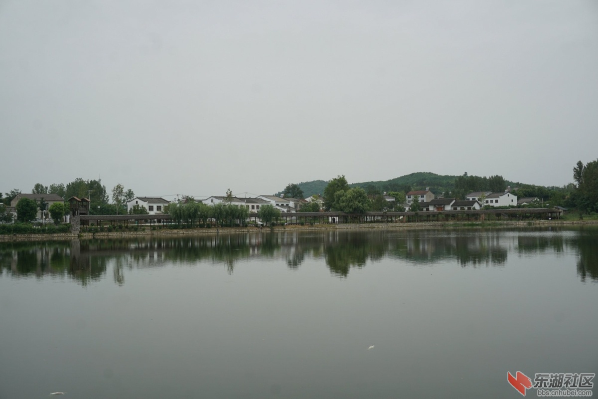 DSC00433.JPG