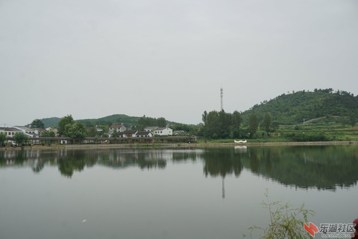 DSC00438.JPG