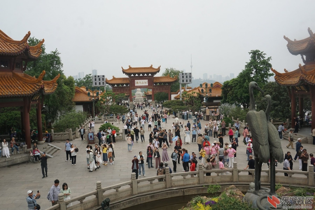 DSC03216.JPG