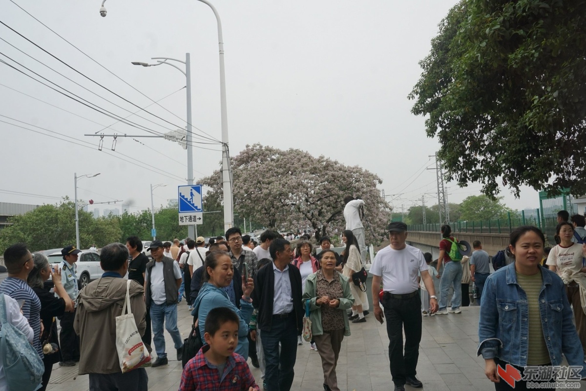 DSC03369.JPG