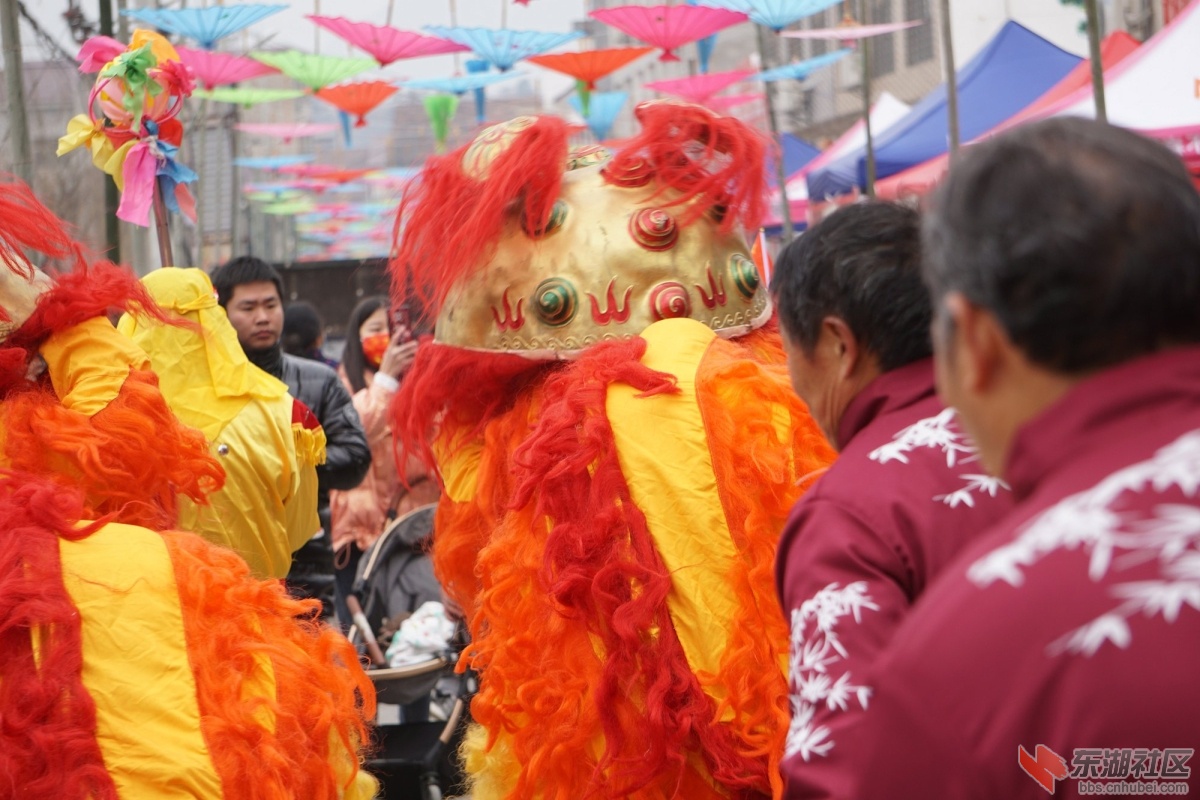 DSC03537.JPG