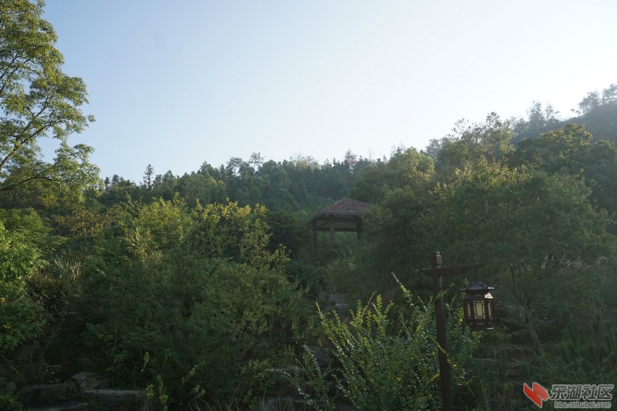 DSC02287.JPG