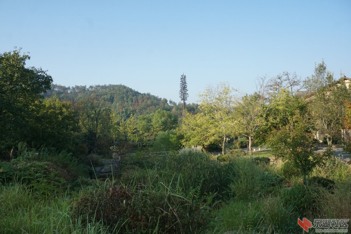 DSC02302.JPG