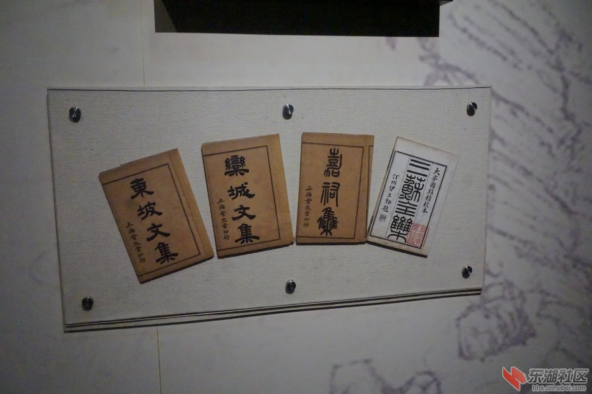 DSC02112.JPG