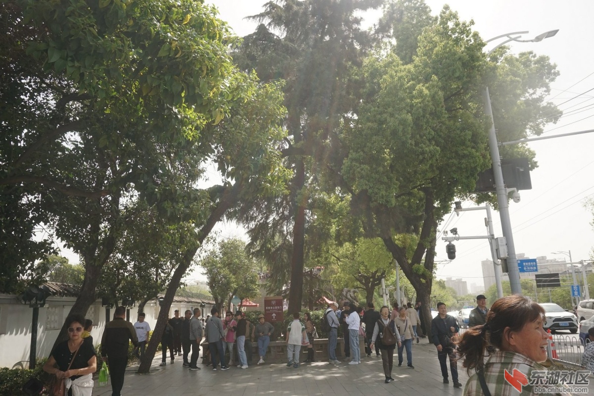 DSC02015.JPG