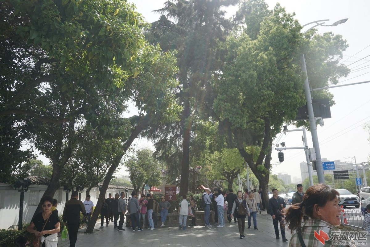 DSC02013.JPG