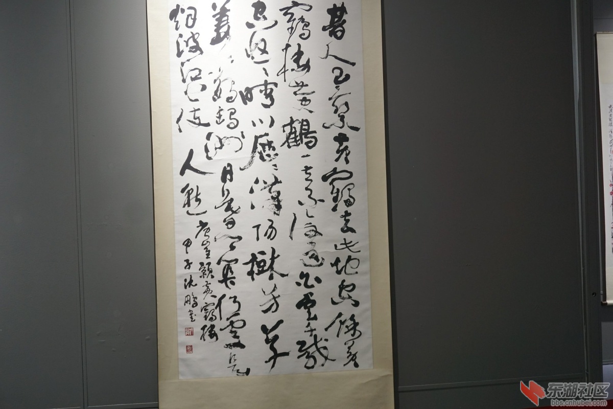 DSC00897.JPG