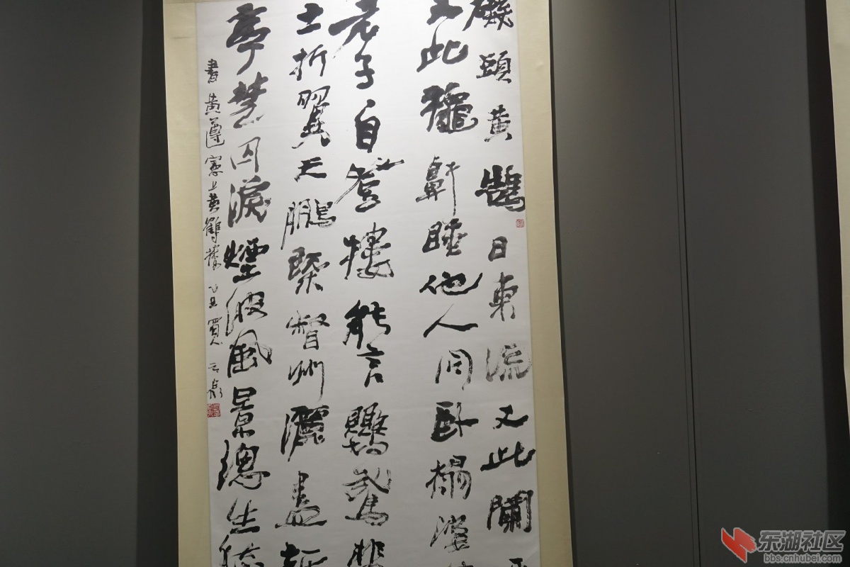 DSC00906.JPG