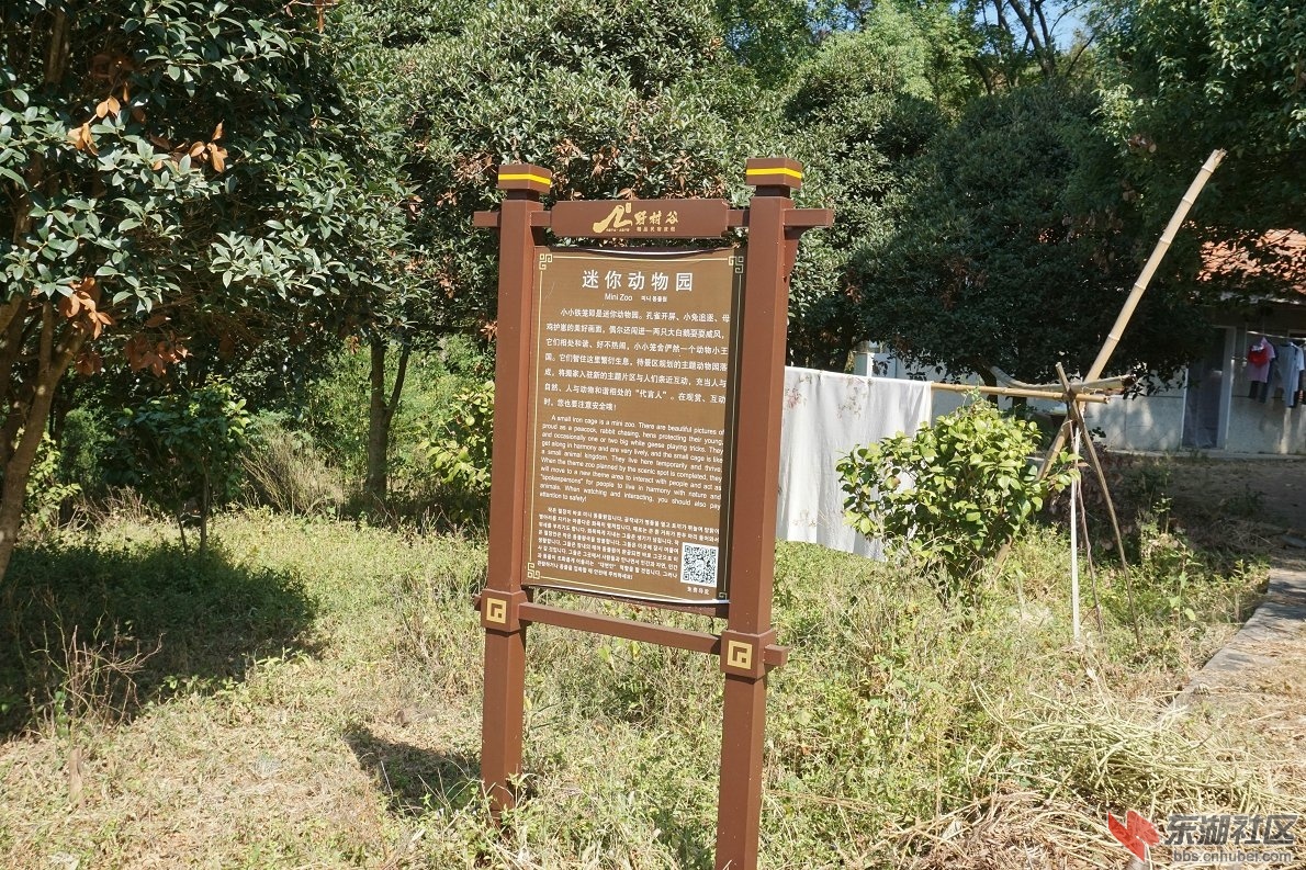 DSC02667.JPG