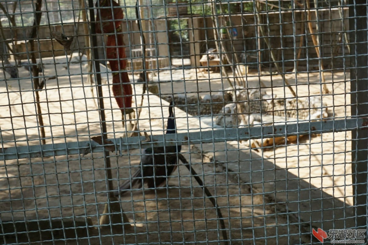 DSC02686.JPG
