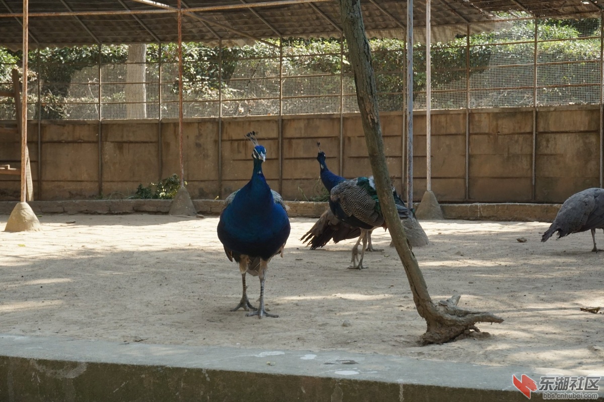 DSC02731.JPG