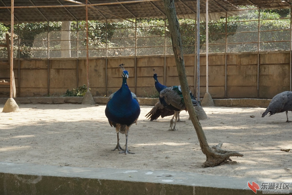 DSC02732.JPG