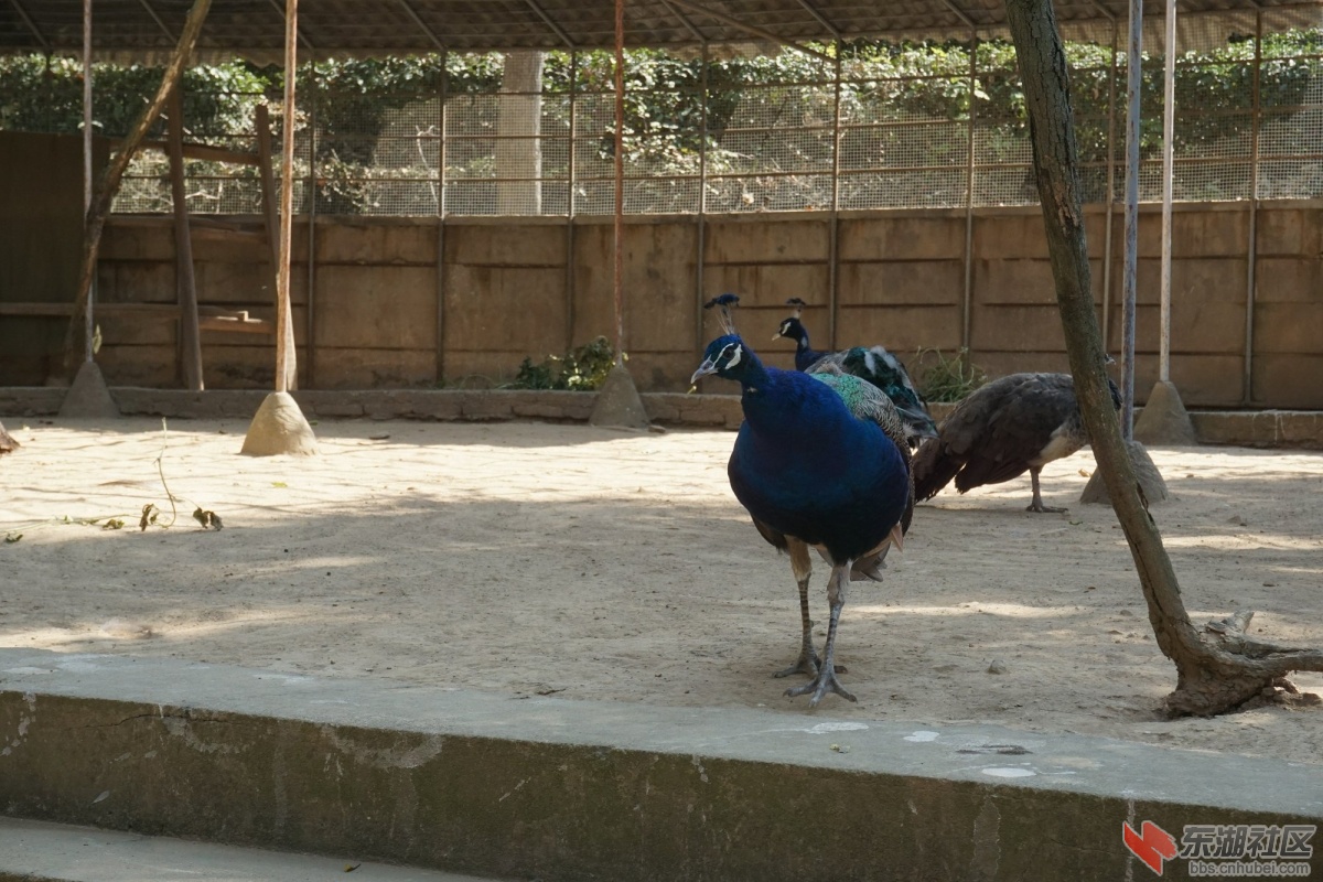 DSC02734.JPG