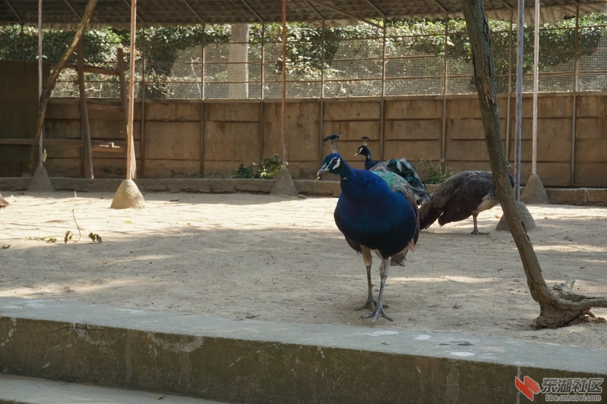 DSC02735.JPG