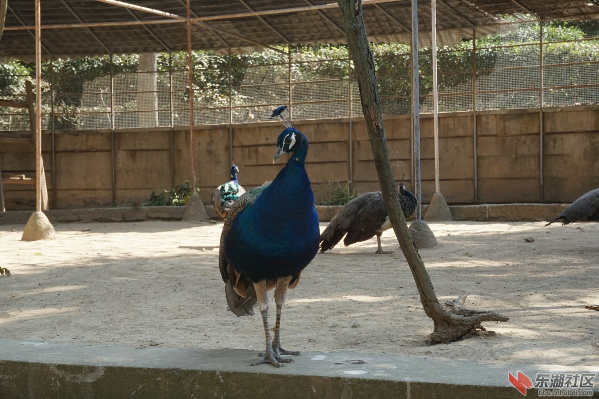 DSC02737.JPG