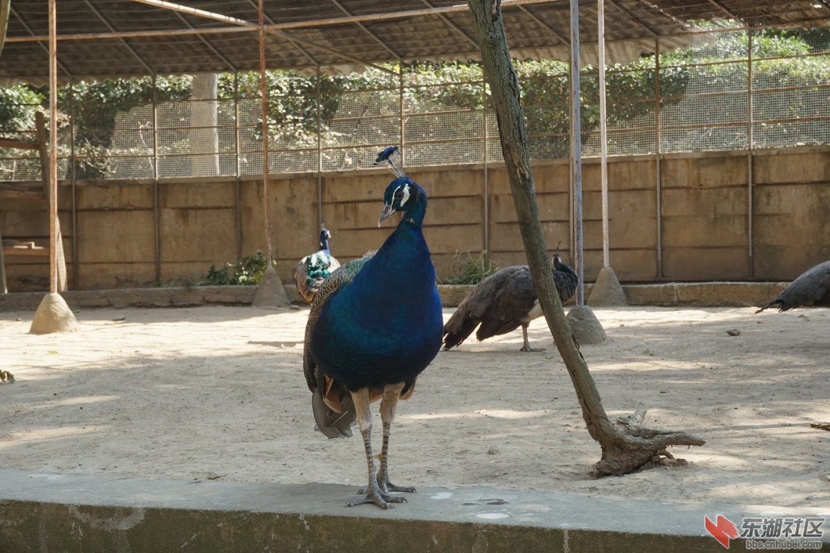 DSC02739.JPG