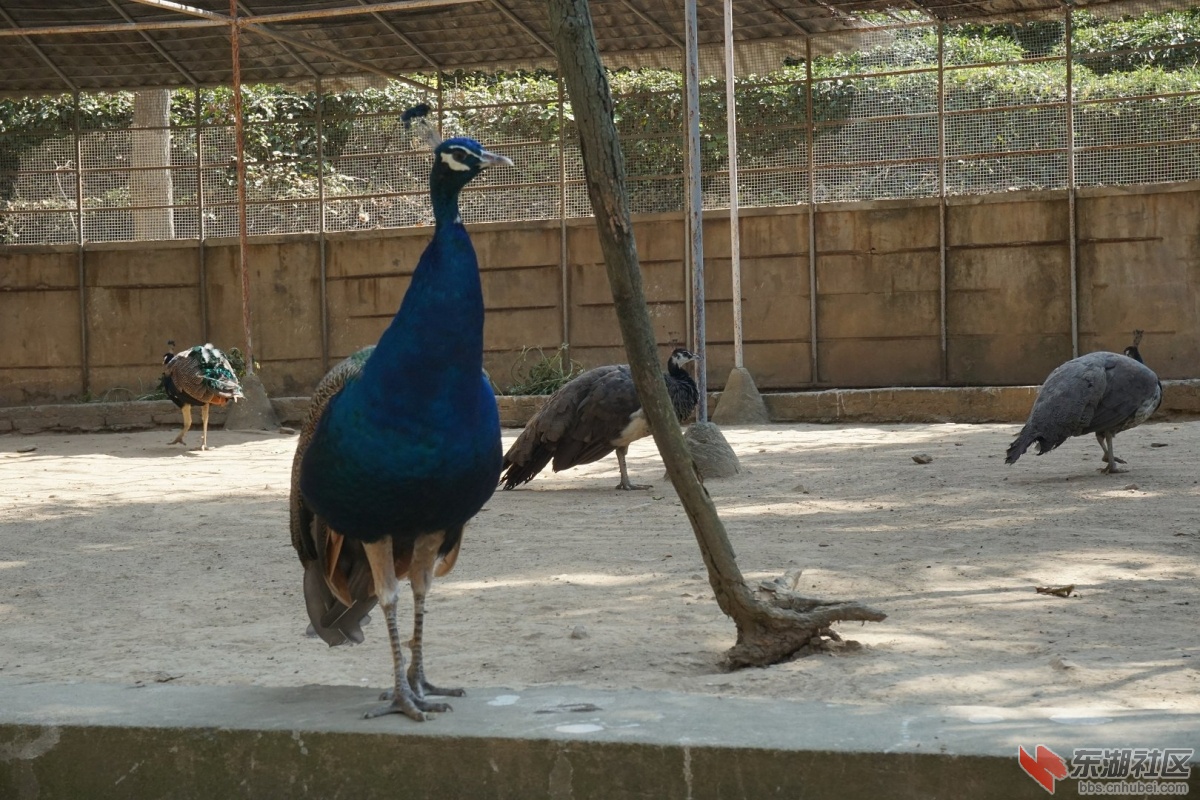 DSC02741.JPG