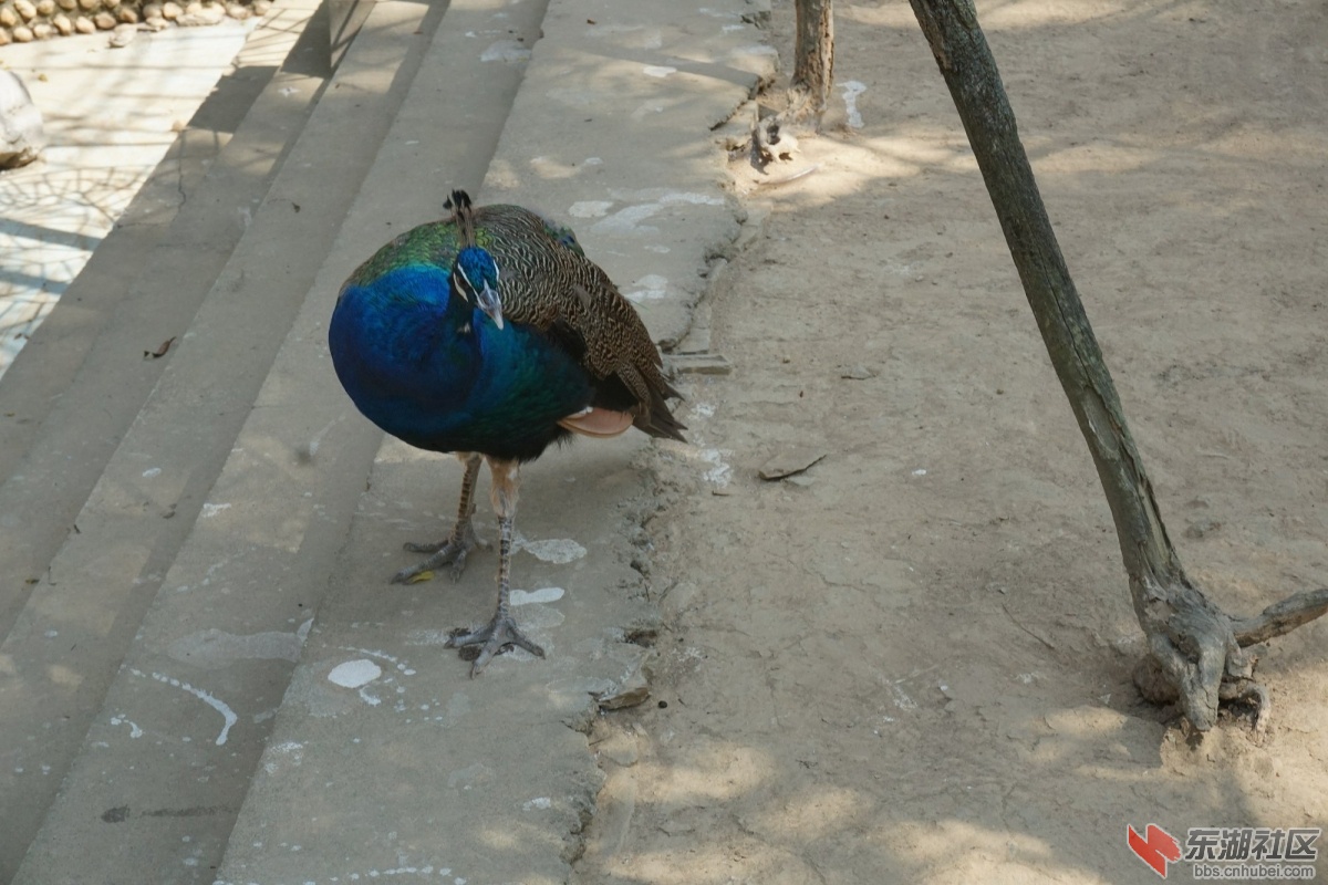 DSC02757.JPG