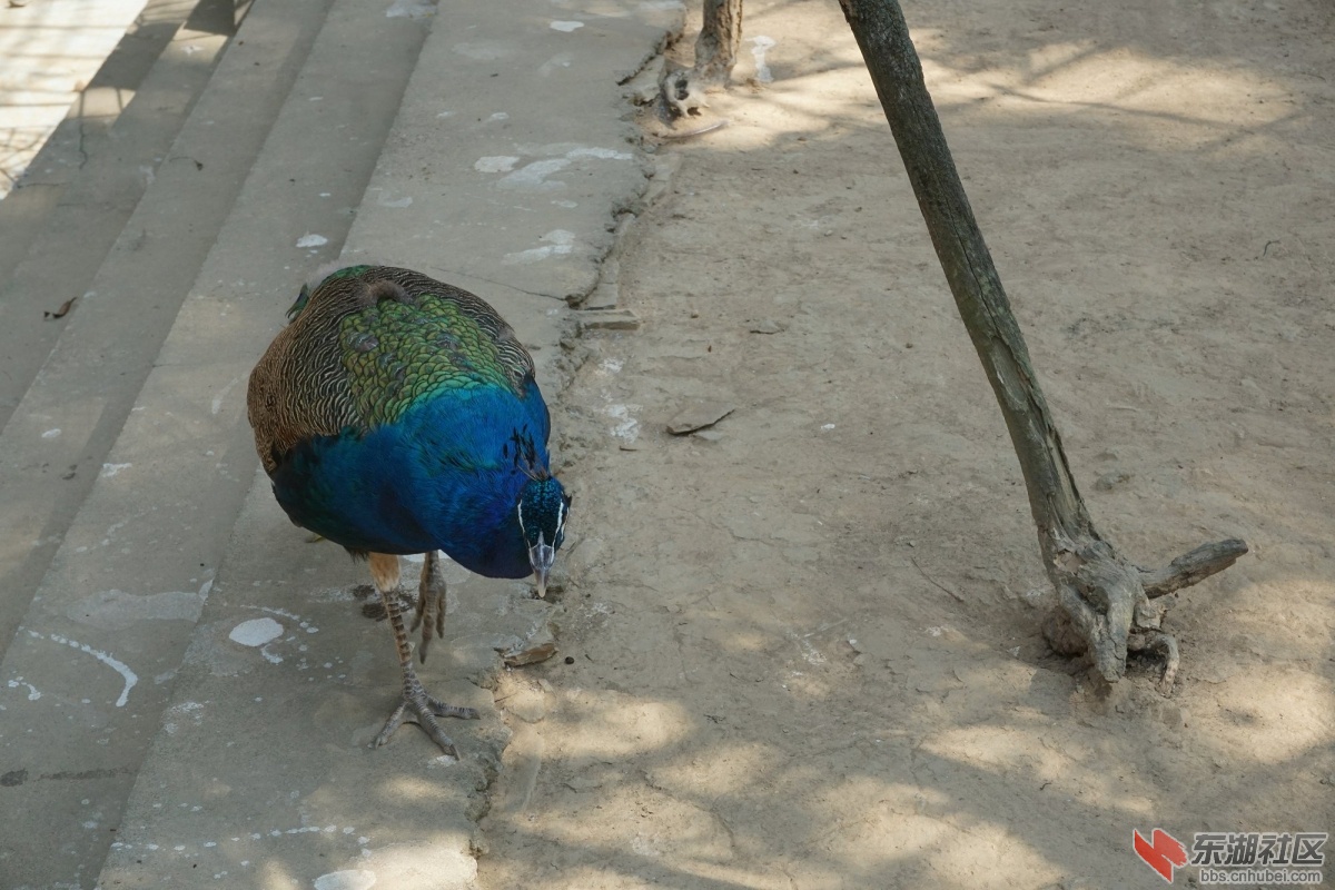DSC02760.JPG