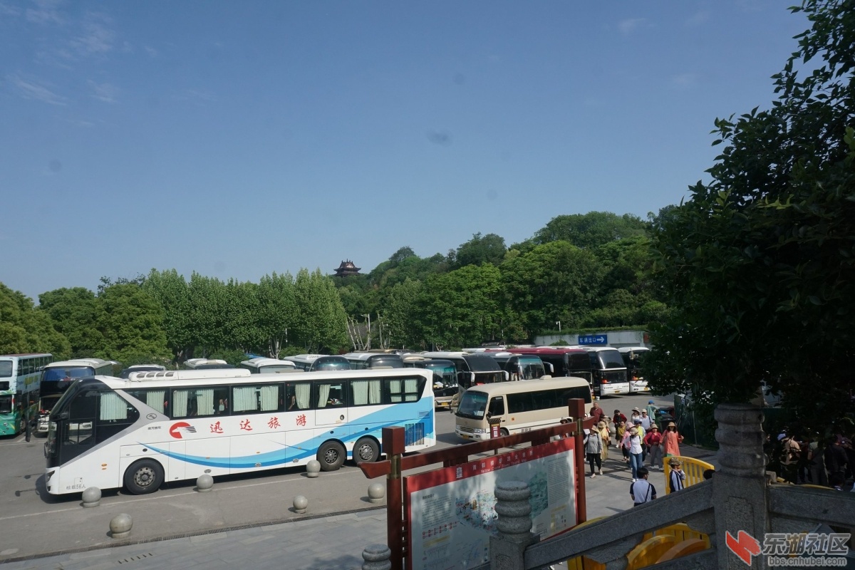 DSC04974.JPG