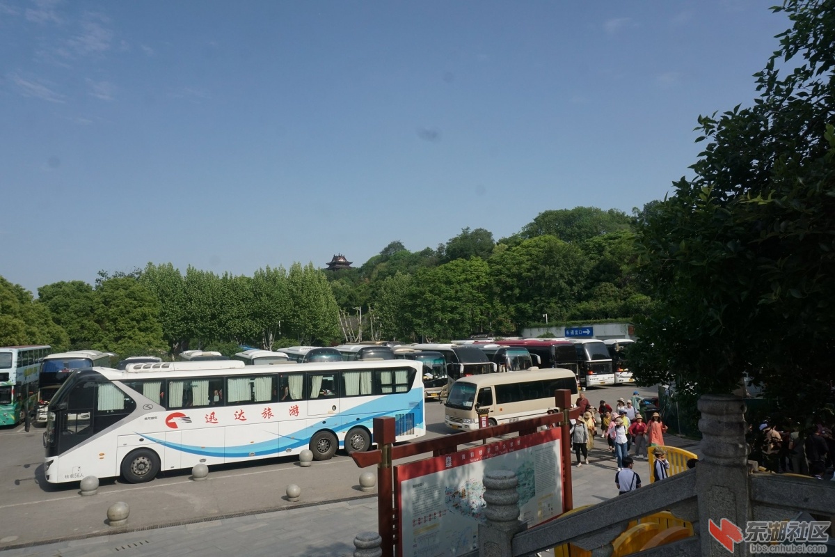 DSC04976.JPG