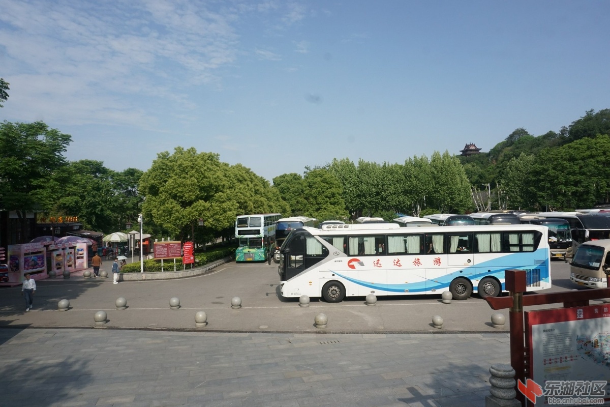 DSC04982.JPG